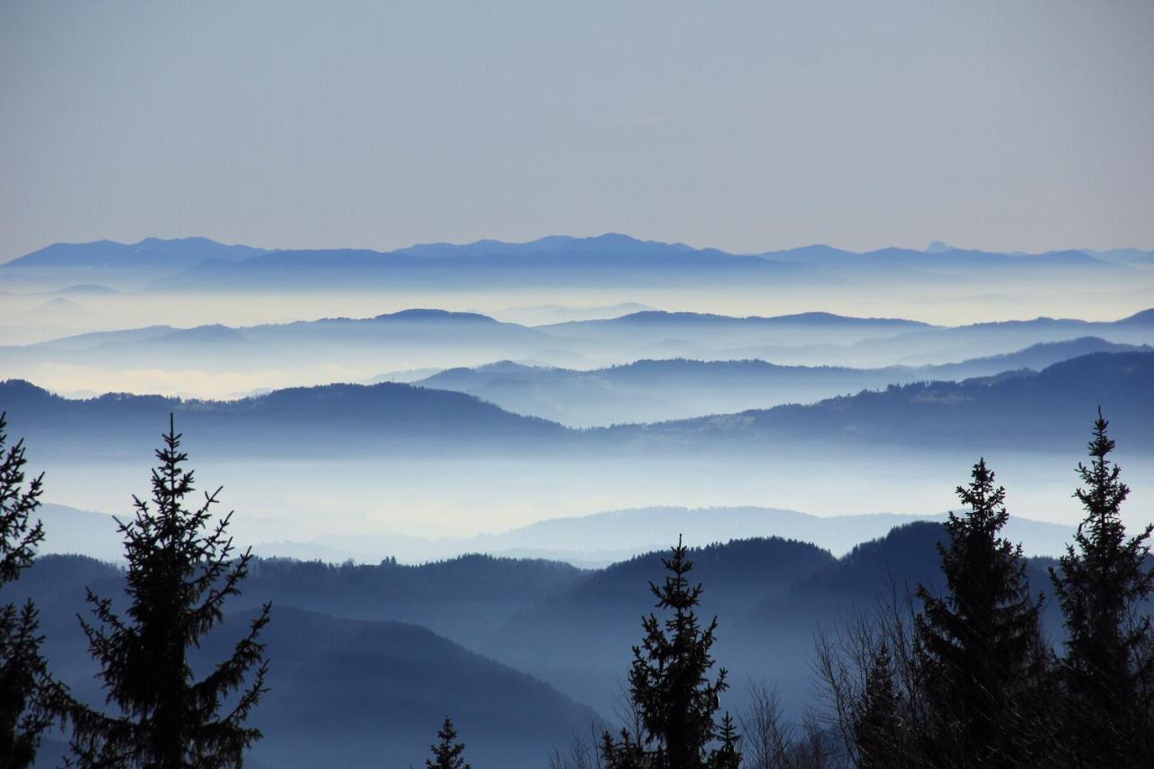 Velika Planina Chalet Slovenka Stahovica Kültér fotó