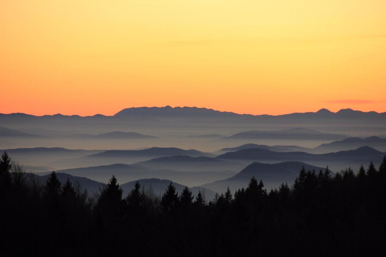 Velika Planina Chalet Slovenka Stahovica Kültér fotó