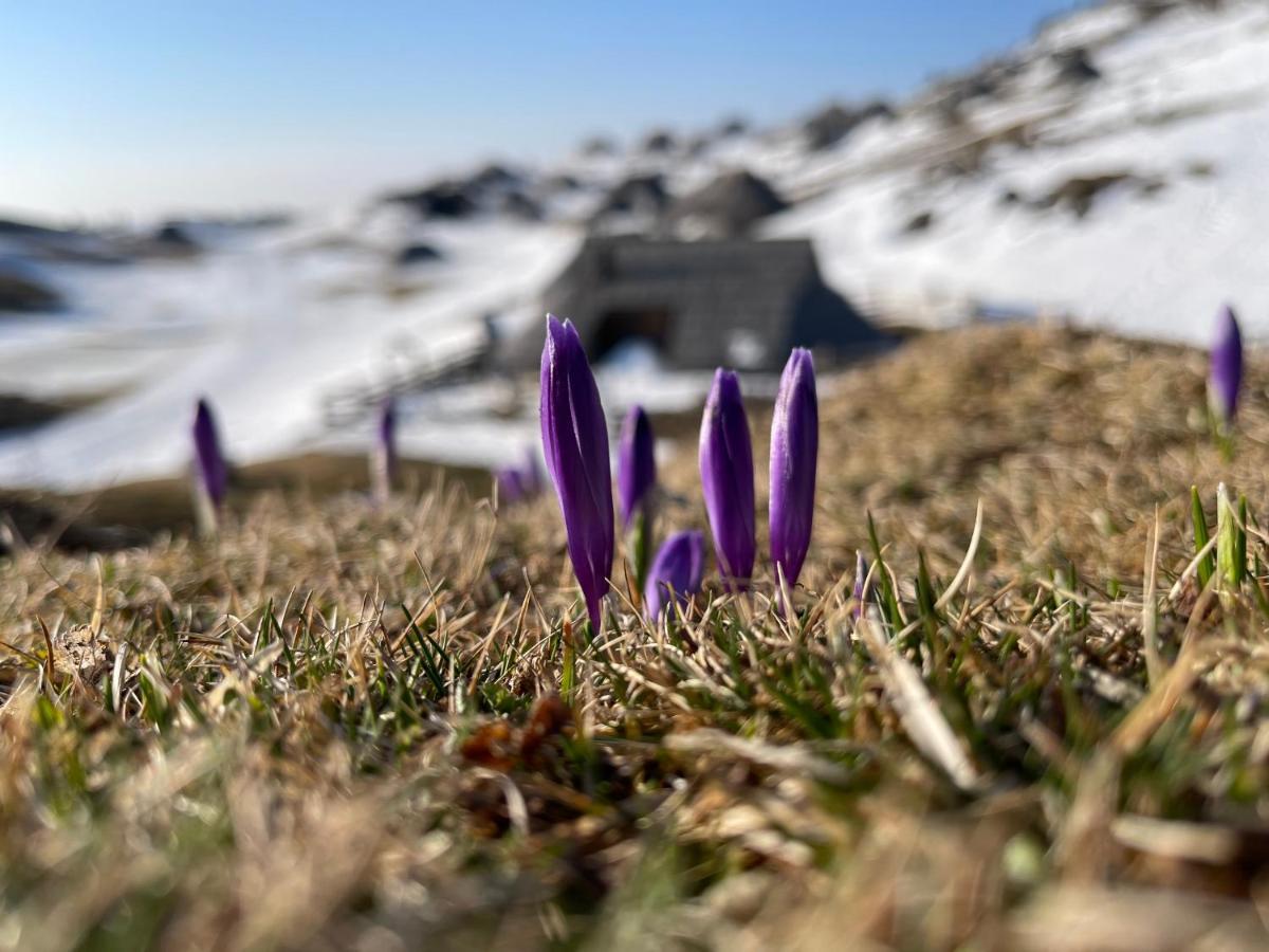 Velika Planina Chalet Slovenka Stahovica Kültér fotó